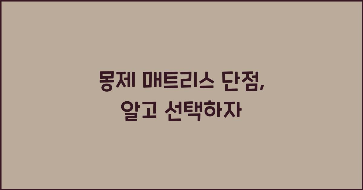 몽제 매트리스 단점