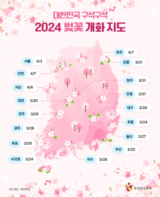 벚꽃 개화지도