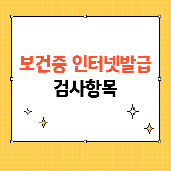 보건증 인터넷발급, 검사항목