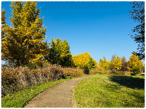 한강6경(바위늪경) 강천섬