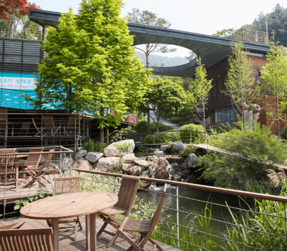 단풍축제 화담숲