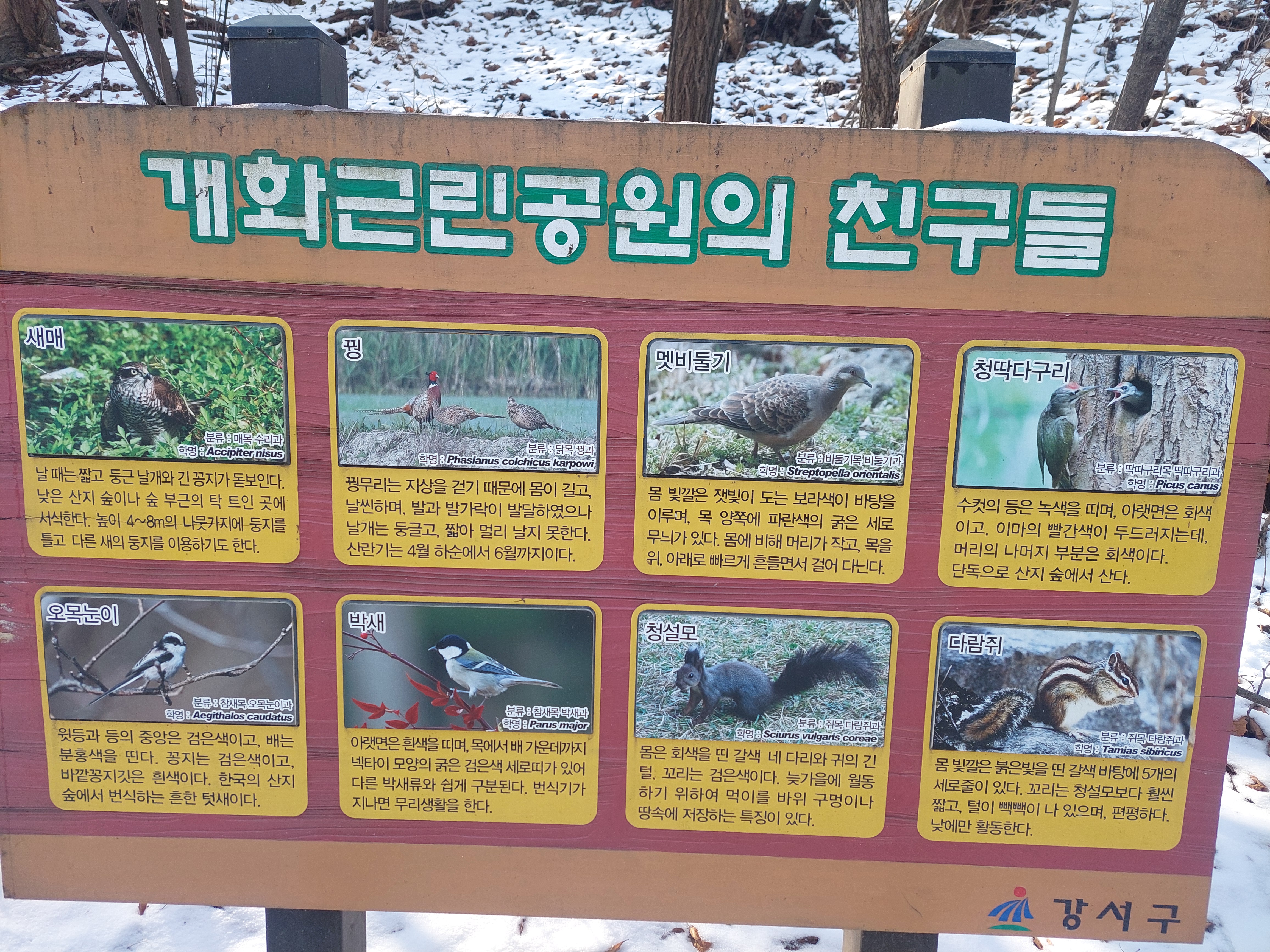 개화산