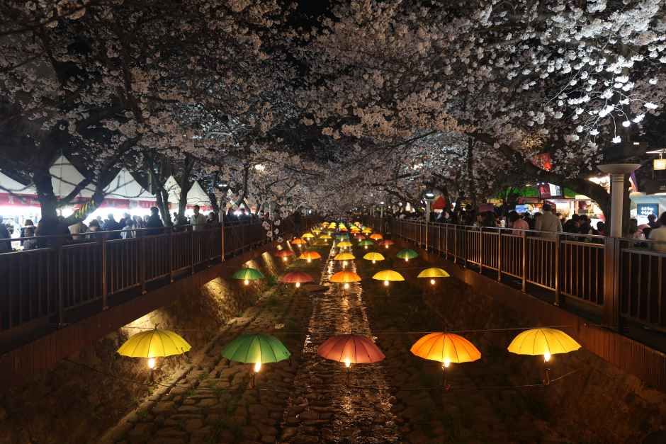 진해군항제 총정리 : 2026 일정부터 여좌천 경화역 교통까지 한 번에