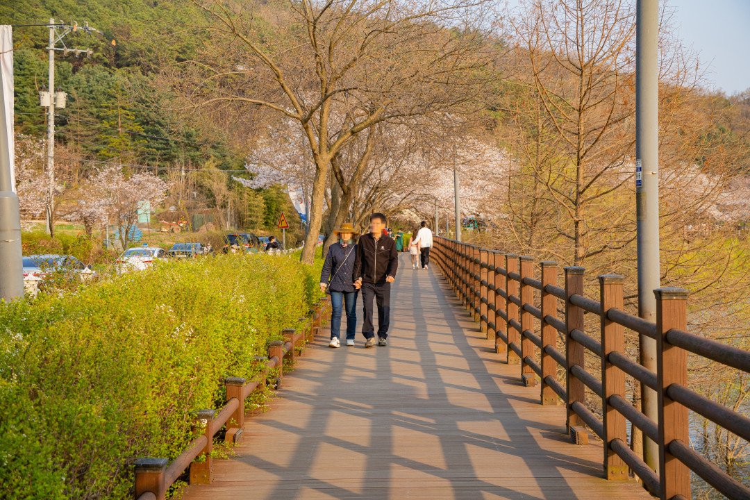 광교저수지 산책로