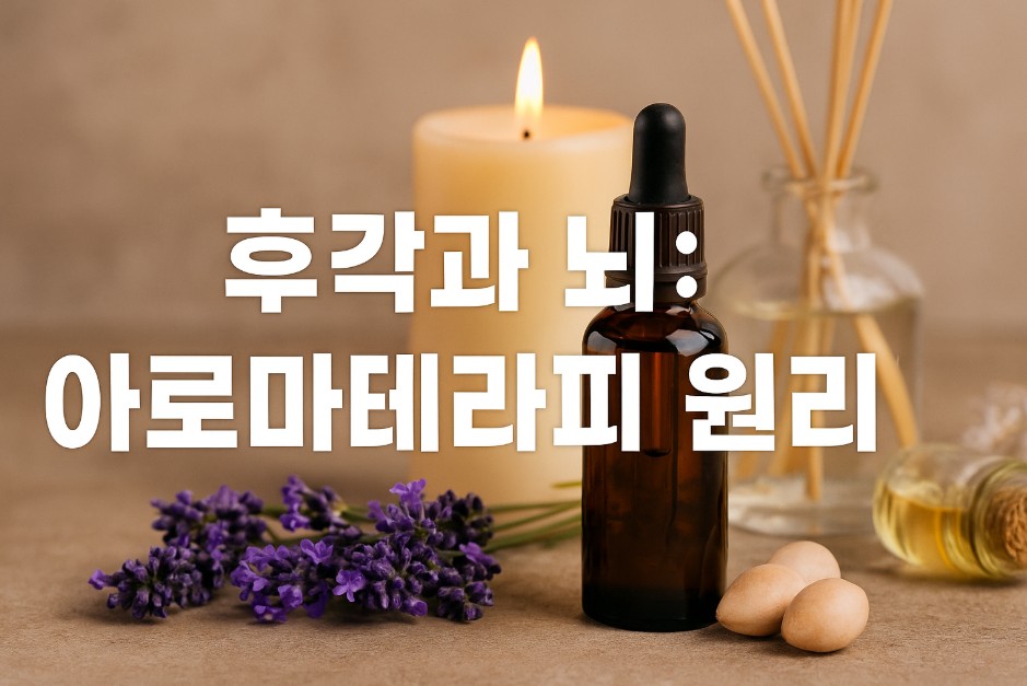 아로마 디퓨저와 향초가 따뜻한 자연광 아래 조화를 이루며 테이블 위에 놓여 있고, 그 옆에 앉은 여성이 평온한 표정으로 향기를 들이마시고 있다. 배경은 푸른 자연 풍경으로 구성되어 있으며, 이미지 중앙에는 "후각과 뇌: 아로마테라피 원리"라는 한글 문구가 선명하게 삽입되어 있다. 이 장면은 후각 자극이 뇌 건강과 정서 안정에 미치는 긍정적인 영향을 시각적으로 표현한다.