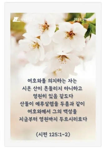 시편 29장 11절 읽기 - 여호와께서 자기 백성에게 힘을 주심이여 여호와께서 자기 백성에게 평강의 복을 주시리로다_19