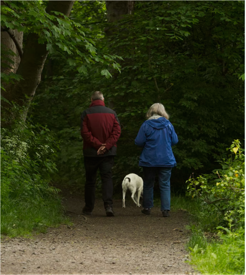 여유로운 노년부부 모습