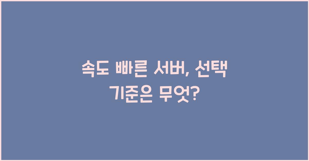 속도 빠른 서버, 선택 기준