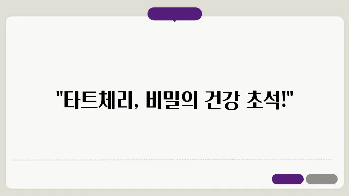 탈트루읃 원한 릴다