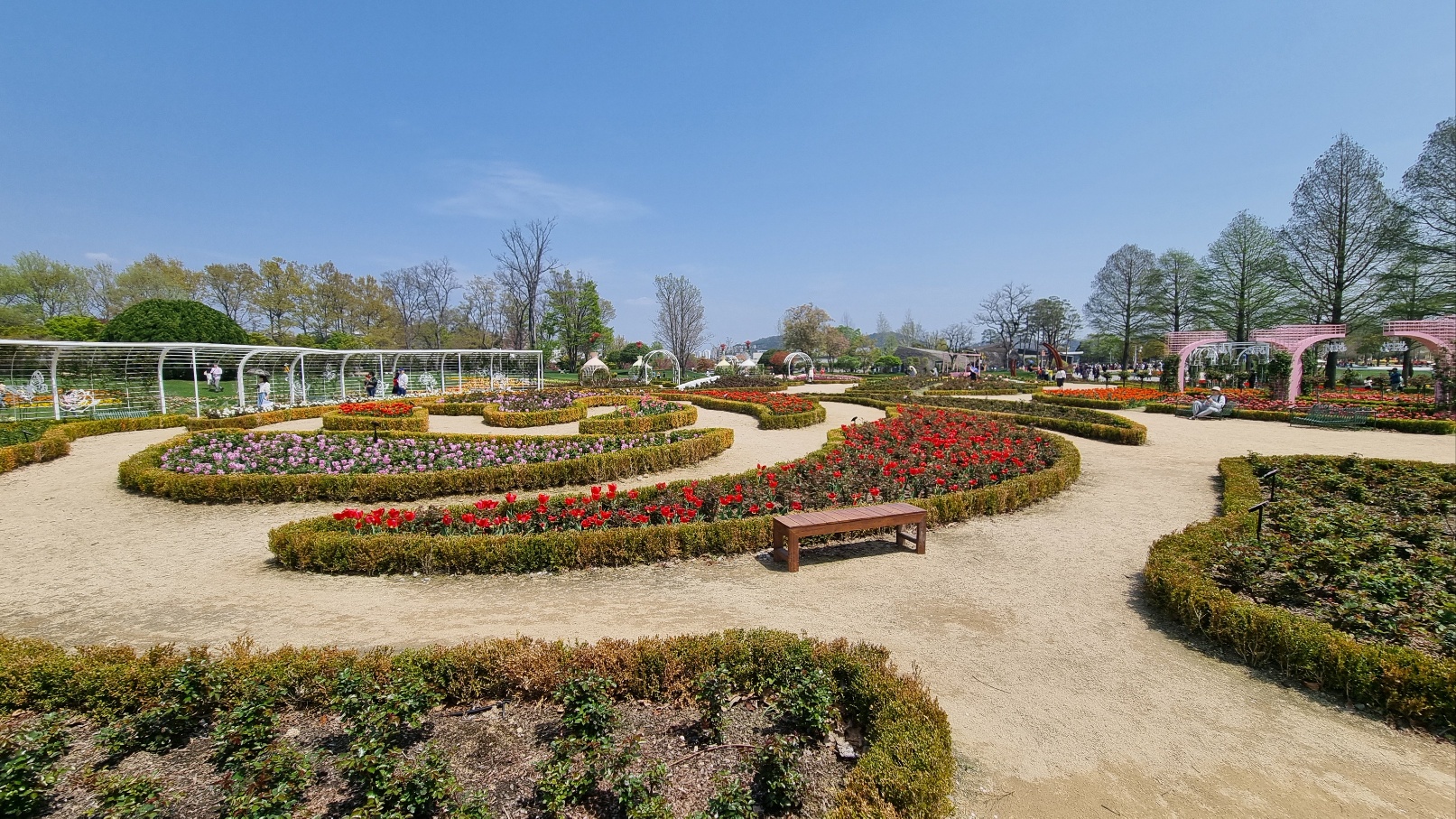 순천만 국가정원 동문 관람 코스 장미정원 (24년4월10일 기준 사진)