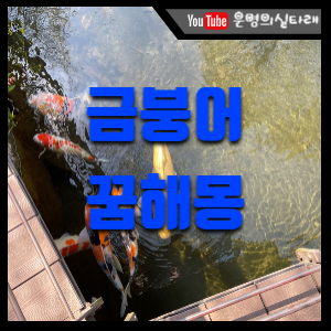 썸네일 사진