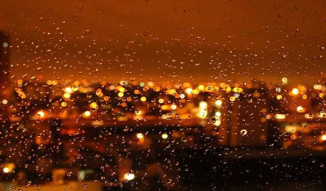 올해 장마철 기간 완벽 정리 20