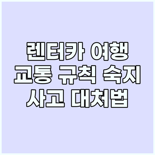 안전한 렌터카 여행: 현지 교통 규칙..