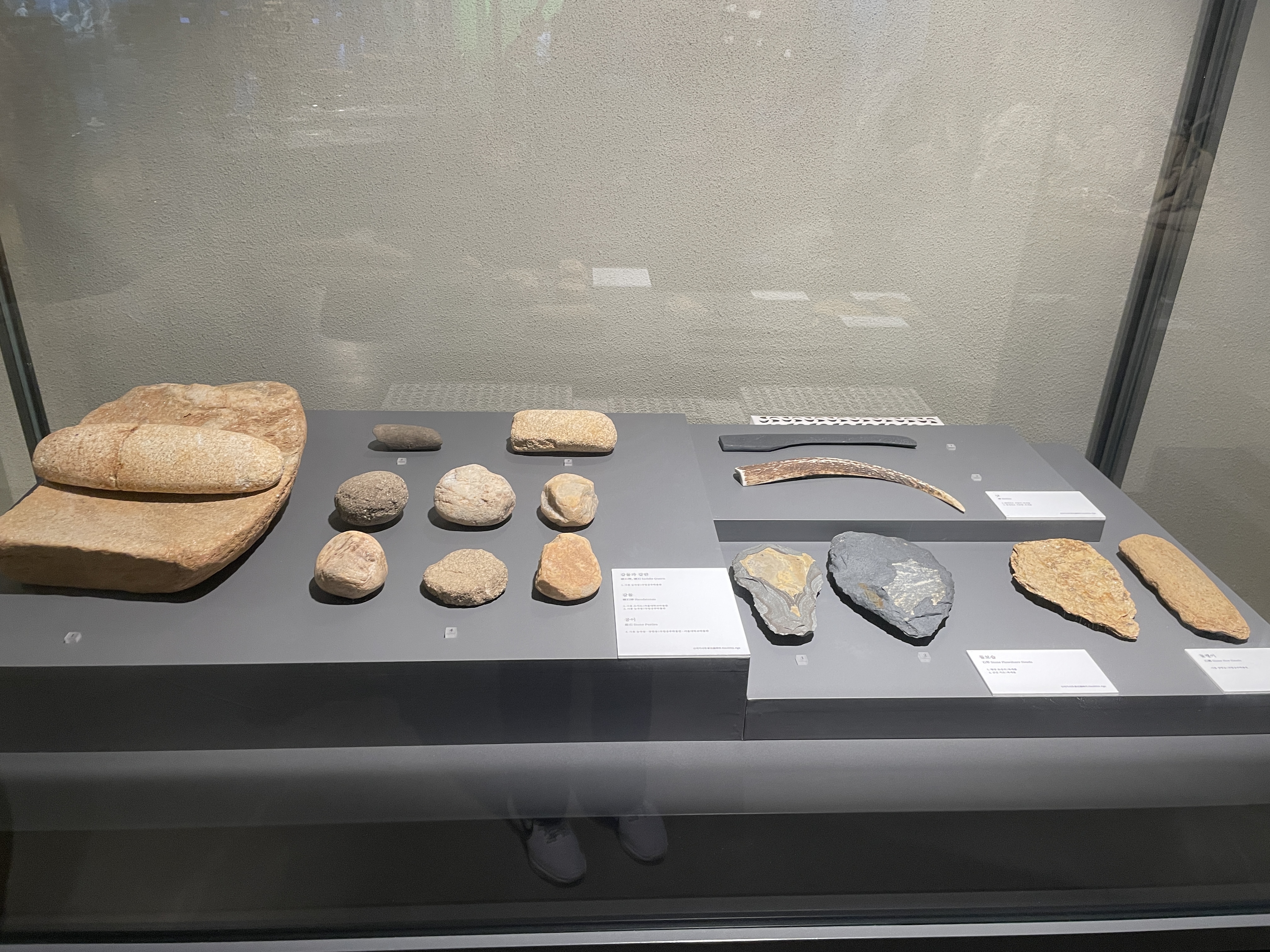 시흥 오이도 박물관 어린이 체험 예약 관련사진