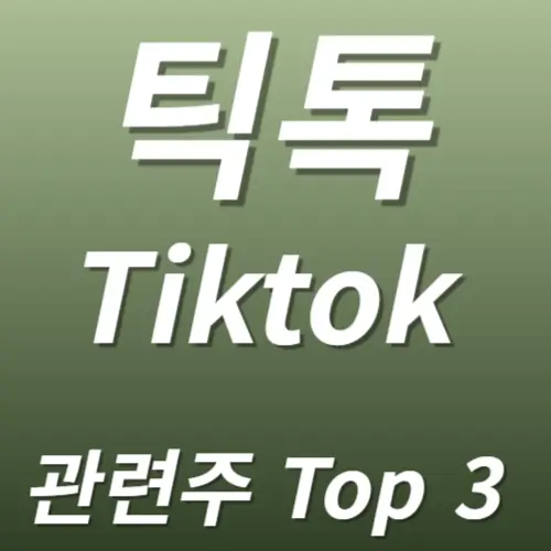 틱톡 Tiktok 관련주 수혜주