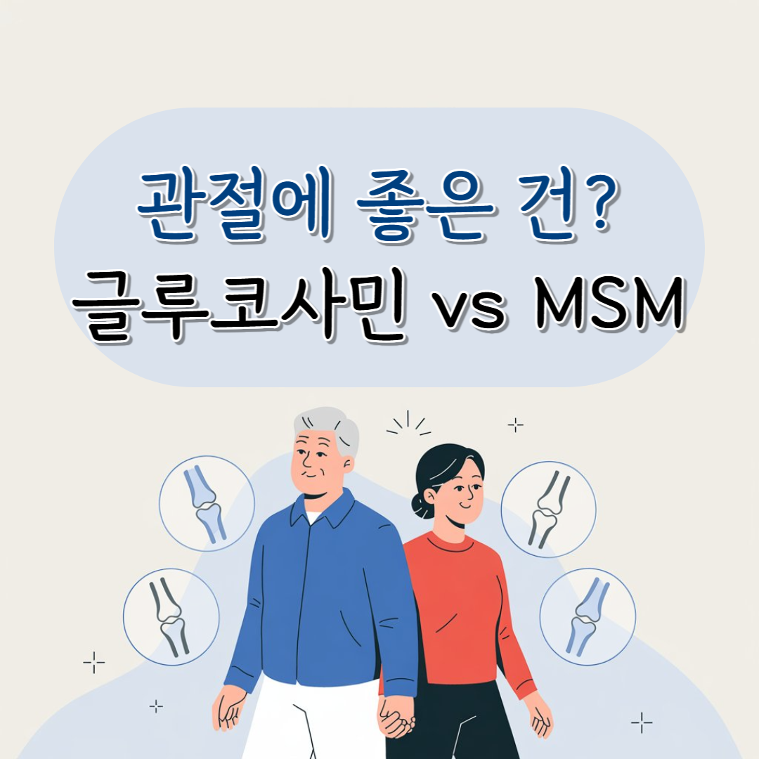 글루코사민 vs MSM, 관절 건강을 위한 선택 가이드