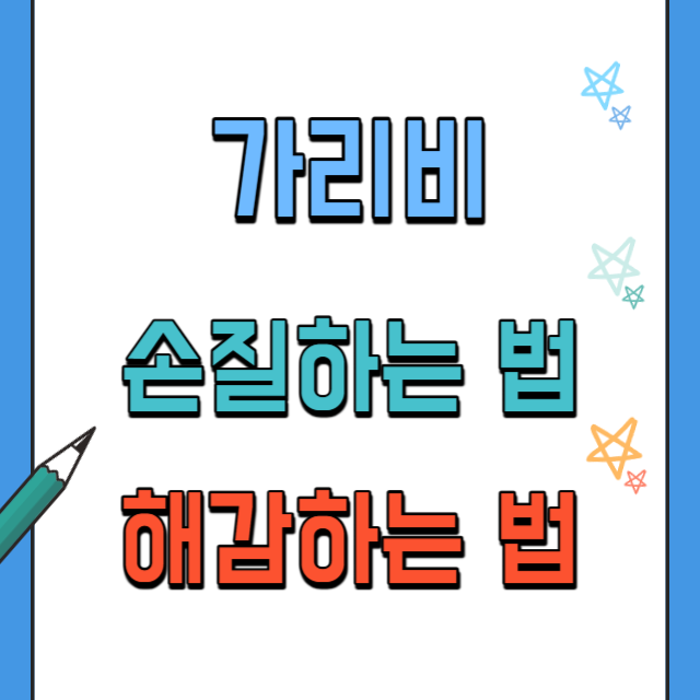 가리비손질법과해감법