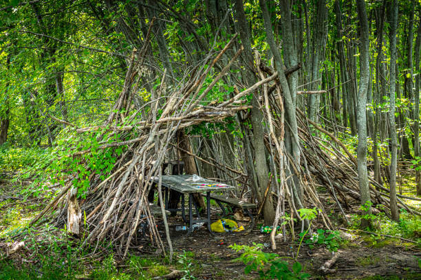 전통 부족별 은신처 - 세계 각지 원시 주거 사례 해석