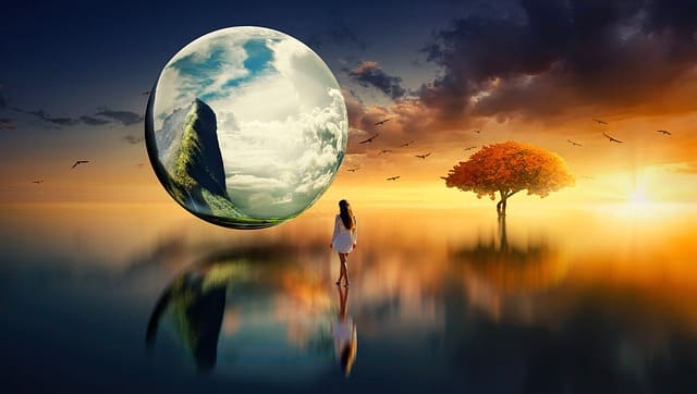 개미 꿈 해몽 사진