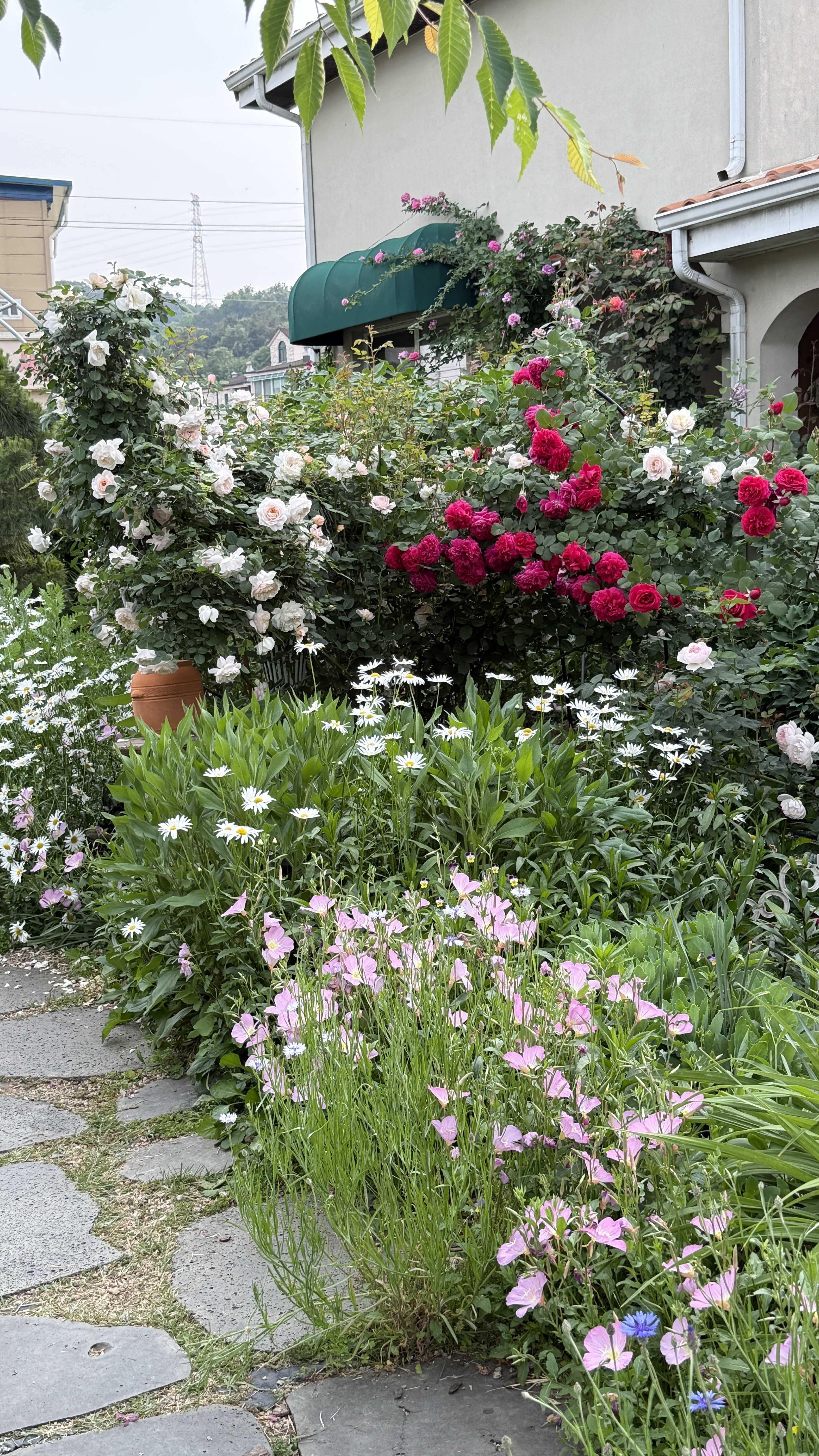 용인정원카페추천