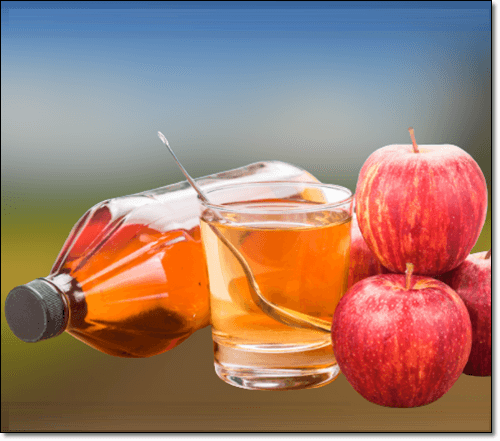 사과초모식초물