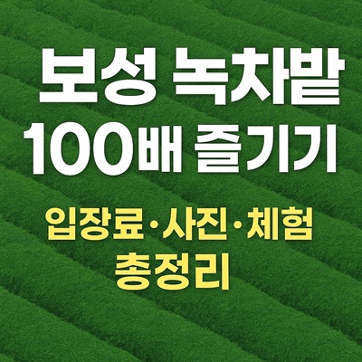 보성 녹차밭 100배 즐기기