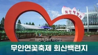 무안 가볼만한곳 베스트10 현지인 추천 필수코스_12