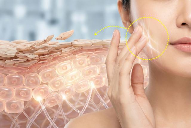 건성피부 좋은 음식