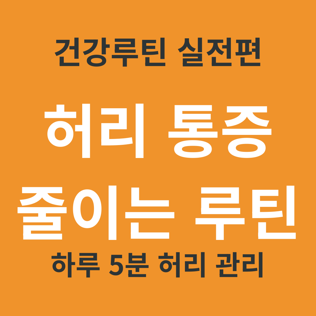 TV 건강 정보 요약 13. 허리 통증이 계속되는 이유와 하루 5분 완화 루틴