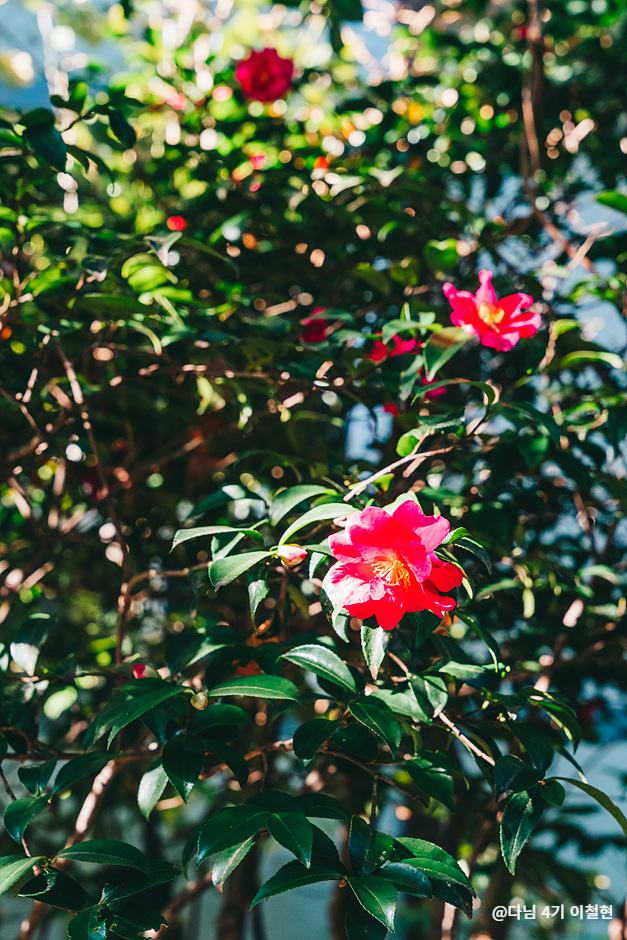 2024 가을 여행지 단풍 명소 추천