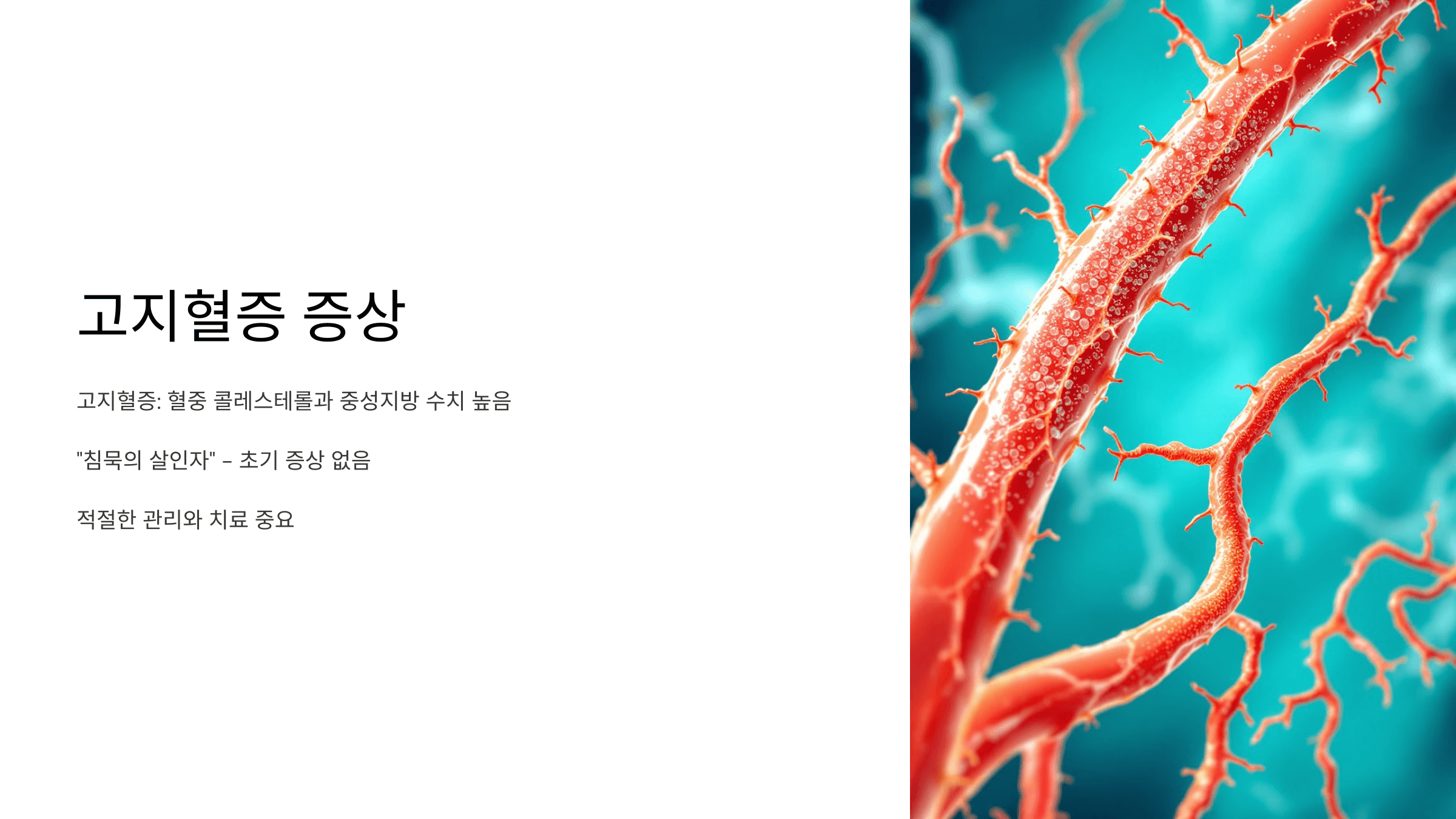 고지혈증과 관련된 사진입니다.