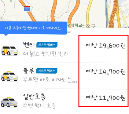 카카오티 벤티 블류 일반