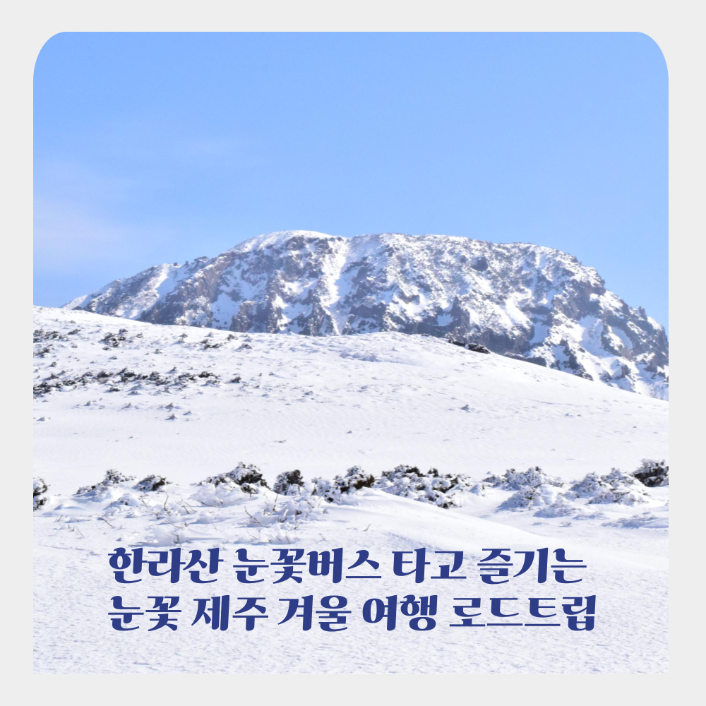 한라산 눈꽃버스 타고 즐기는 눈꽃 제주 겨울 여행 로드트립
