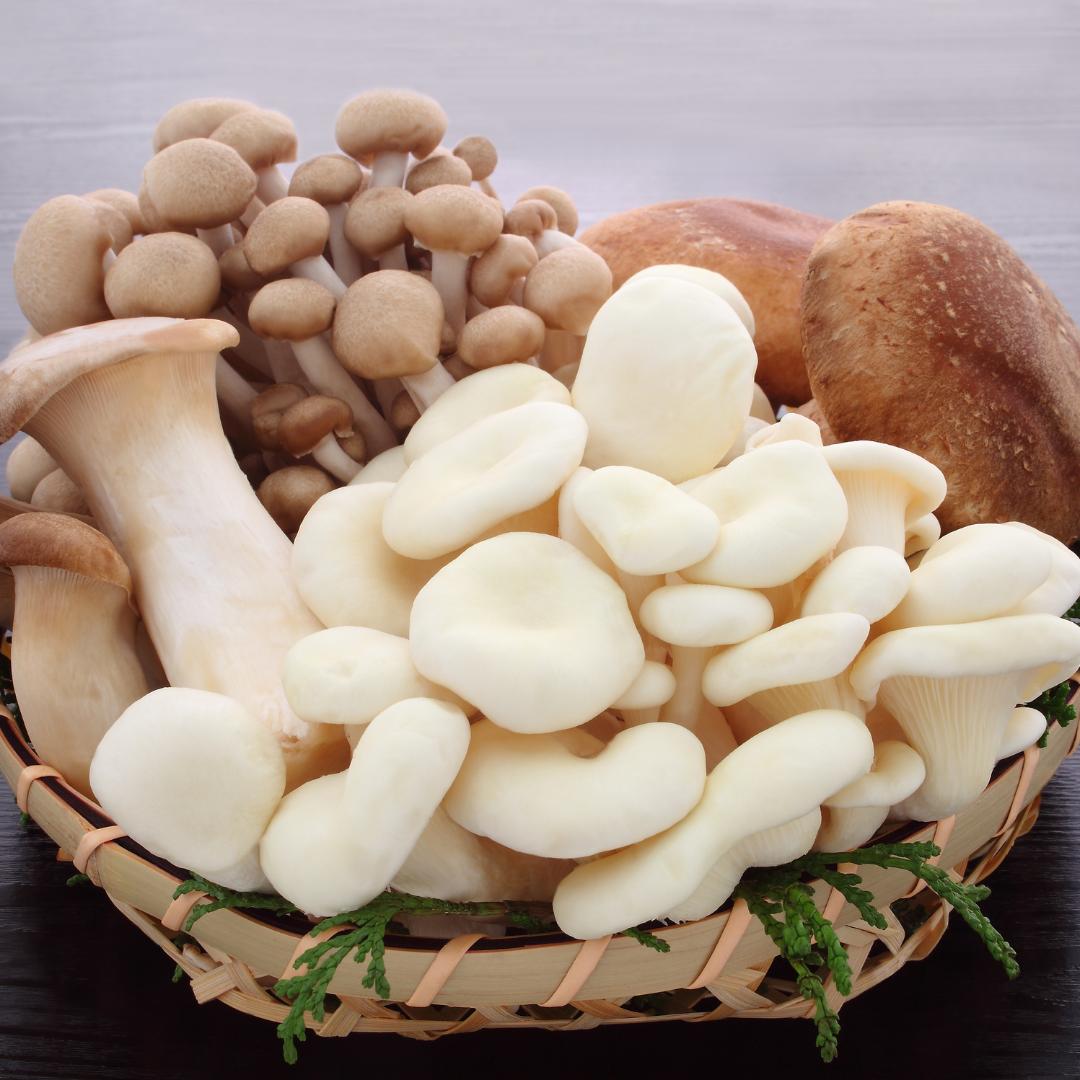 고기 대신 먹으면 좋은 채소 7가지 추천