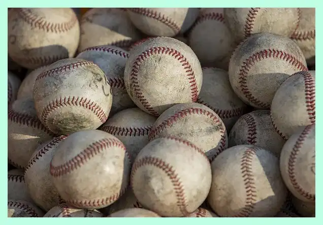 야구 프리미어 12 명단 최종