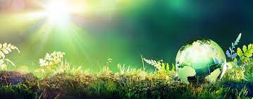 농할상품권 사용처 구매방법 할인 2024