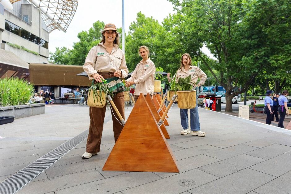 서울거리예술축제 2025 — 서울의 거리가 무대가 된다 관련 사진