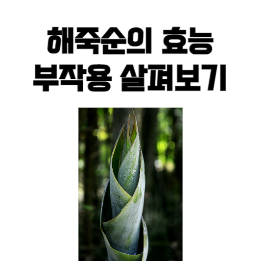 해죽순의 효능과 부작용