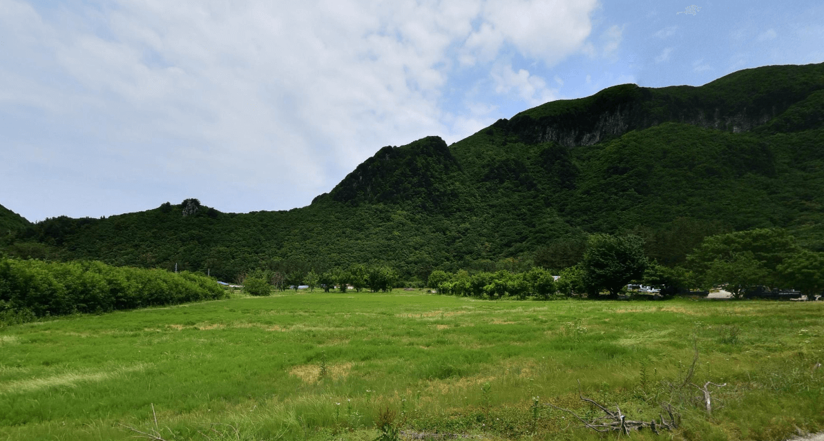 나리분지 울릉도 유일의 평지에서 즐기는 여유
