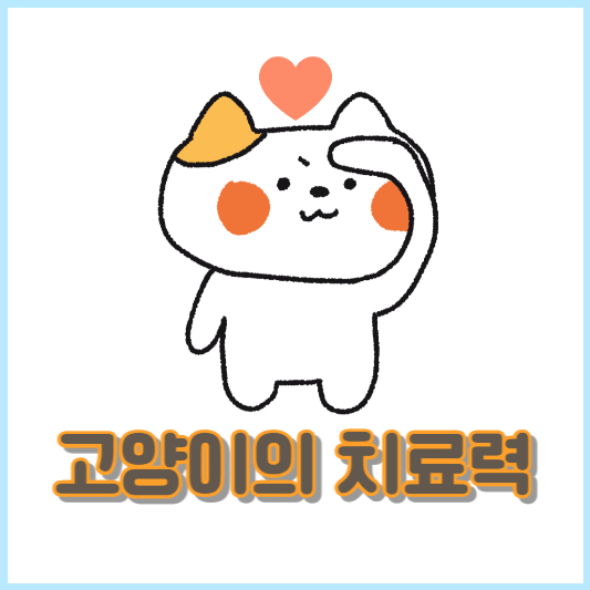 고양이의 치료력