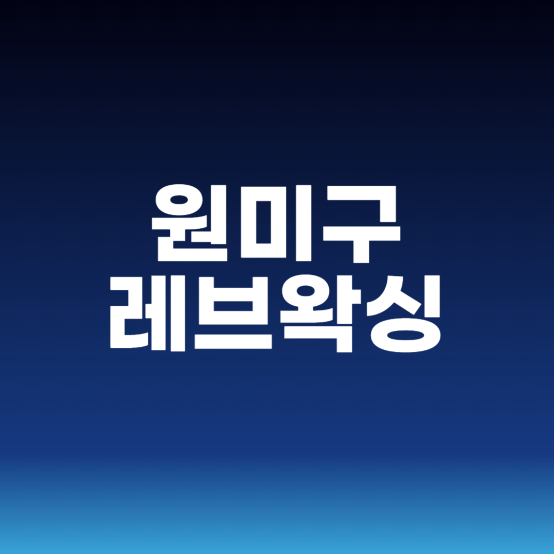 원미구 레브왁싱