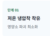 대마 종자유 효능