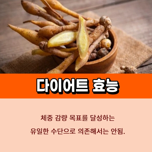 핑거루트 다이어트