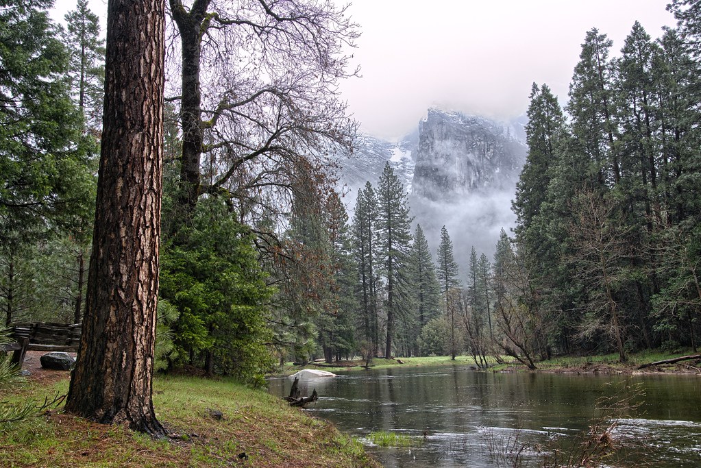 Yosemite national park