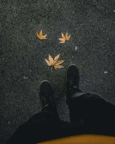 2024 설악산 단풍시기