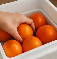 대봉감 보관방법