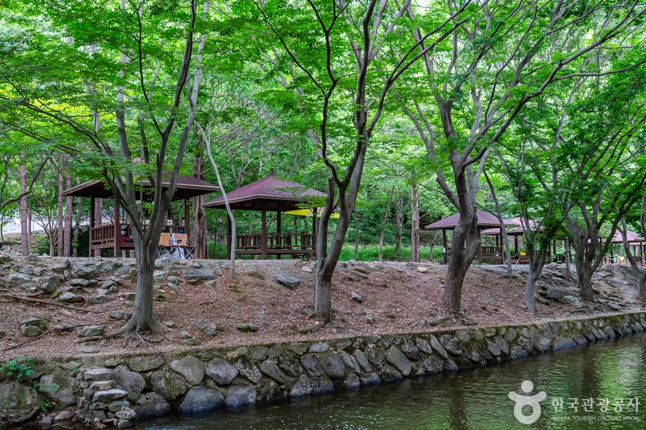 완주 고산자연휴양림