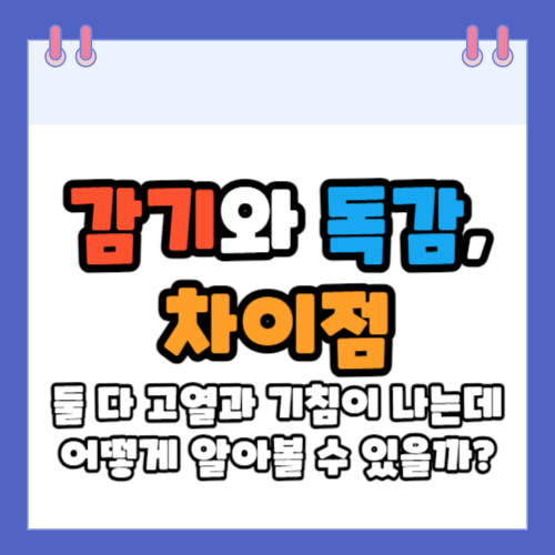 감기와 독감