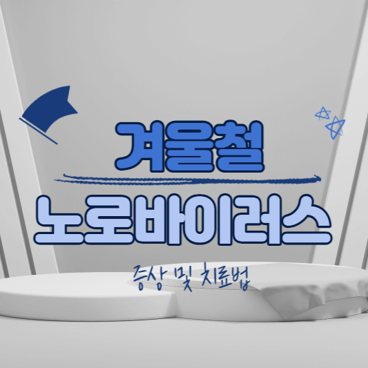 겨울철 노로 바이러스
