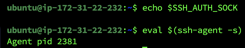 SSH_AUTH_SOCK